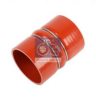 DT 6.35310 Radiator Hose